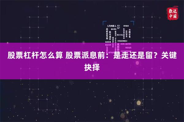 股票杠杆怎么算 股票派息前：是走还是留？关键抉择