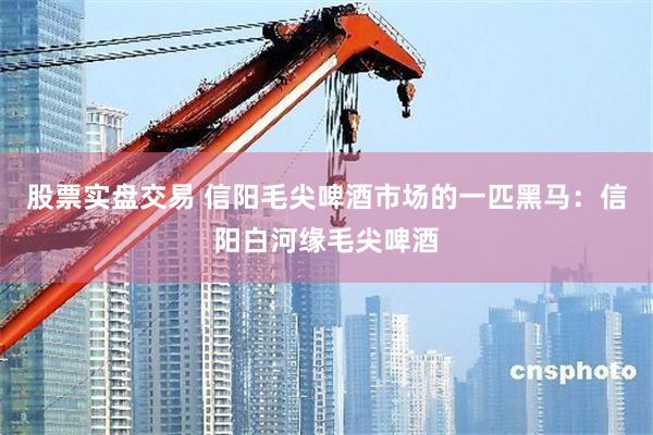 股票实盘交易 信阳毛尖啤酒市场的一匹黑马：信阳白河缘毛尖啤酒