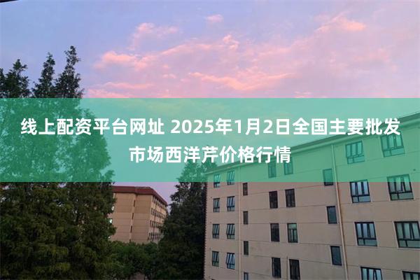 线上配资平台网址 2025年1月2日全国主要批发市场西洋芹价格行情