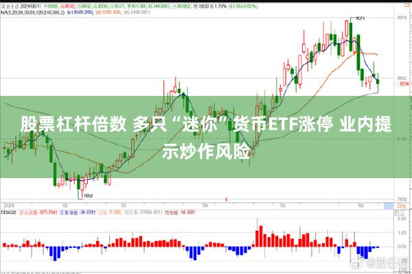 股票杠杆倍数 多只“迷你”货币ETF涨停 业内提示炒作风险