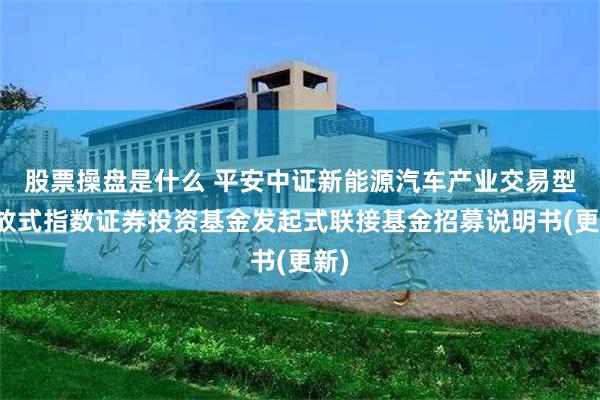 股票操盘是什么 平安中证新能源汽车产业交易型开放式指数证券投资基金发起式联接基金招募说明书(更新)