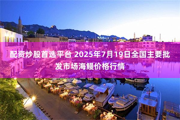 配资炒股首选平台 2025年7月19日全国主要批发市场海鳗价格行情