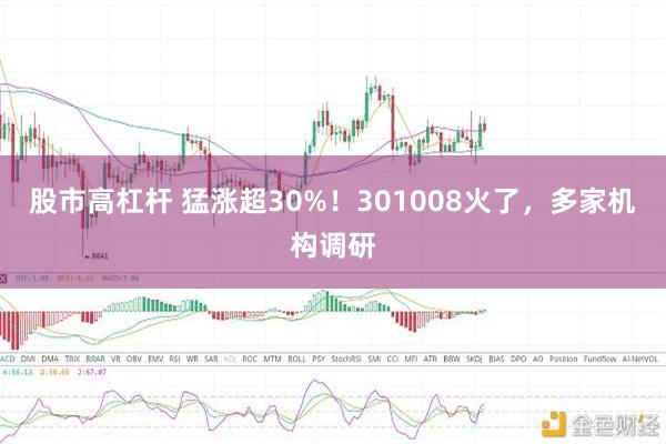 股市高杠杆 猛涨超30%！301008火了，多家机构调研
