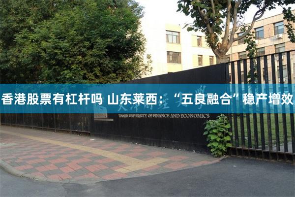 香港股票有杠杆吗 山东莱西：“五良融合”稳产增效