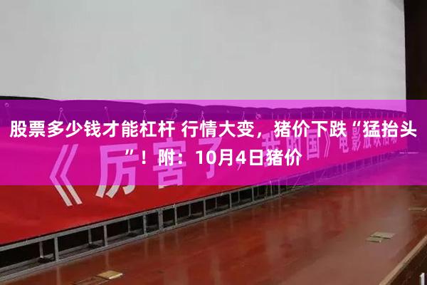 股票多少钱才能杠杆 行情大变，猪价下跌“猛抬头”！附：10月4日猪价