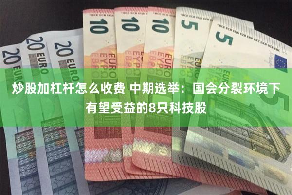炒股加杠杆怎么收费 中期选举：国会分裂环境下有望受益的8只科技股